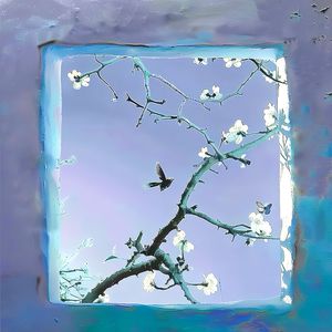 中国三级做爱妓女高清
